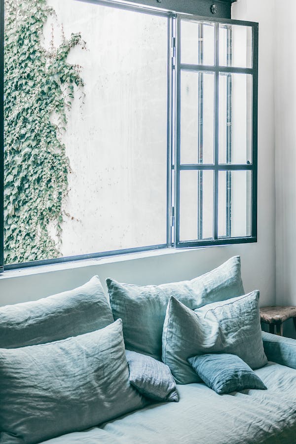 Rental apartment Open Windows